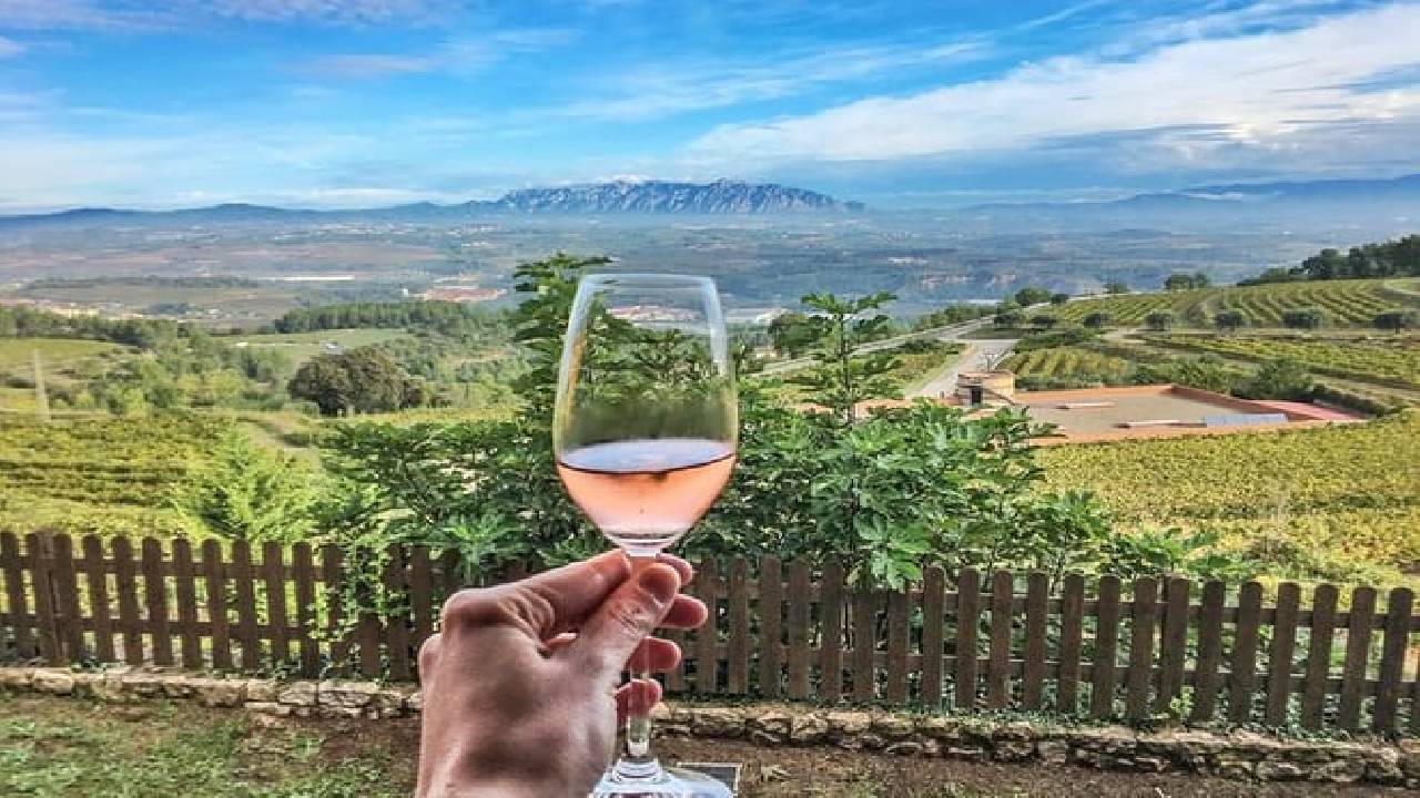 Montserrat Private Day Trip with Codorniu Cava Cellar Tasting