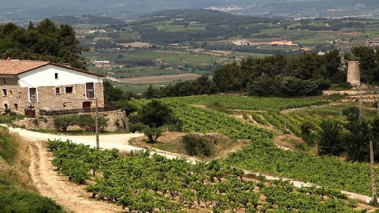 2-Day Tour: Gaudi & Sagrada Familia + Montserrat & Winery 