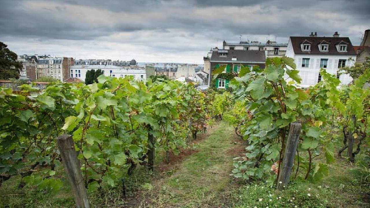 Paris Private Full Day Tour: Montmartre, Sights & Eiffel Tower