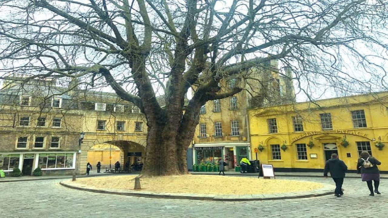 From London: Visit Stonehenge and The Roman Baths