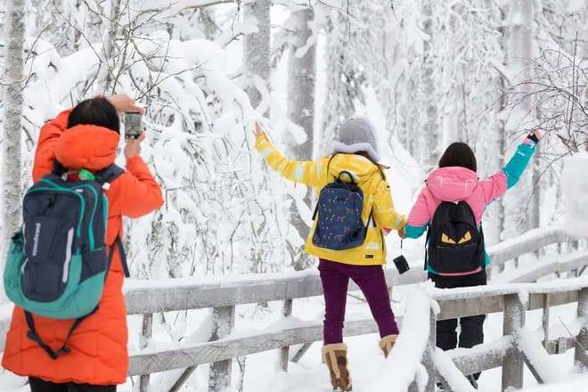 Trip to Ranua Arctic Zoo, Rovaniemi