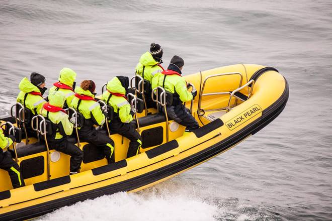 Puffin Tour by RIB Speedboat from Downtown Reykjavik