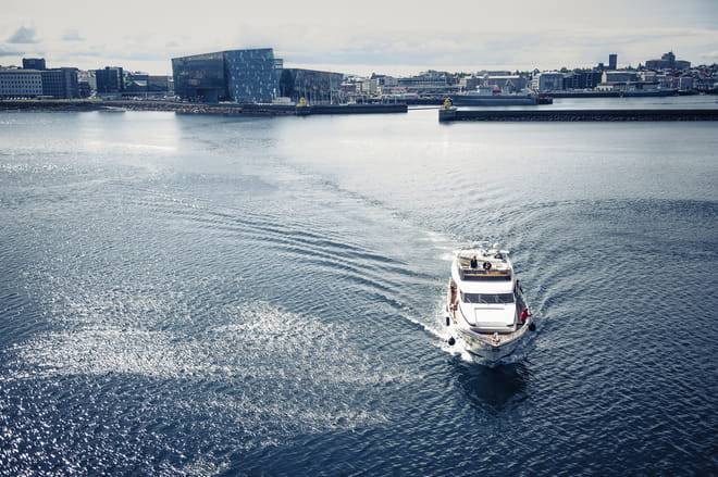 Puffin Watching Yacht Cruise from Downtown Reykjavík – Small Group Experience