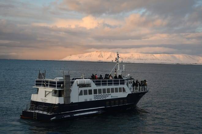 Solar Eclipse Cruise from Downtown Reykjavík