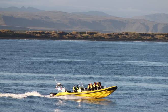 Whale  Watching from Downtown Reykjavik by RIB Speedboat 