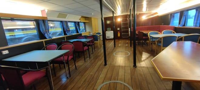 Whale & Marine Adventure Tour