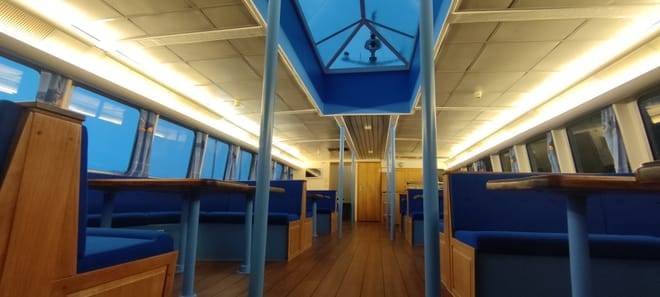 Whale & Marine Adventure Tour