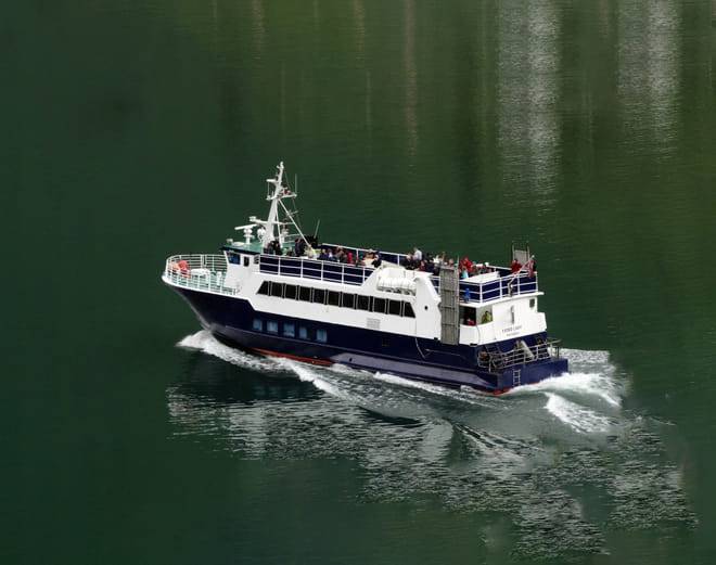 Whale & Marine Adventure Tour