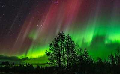 GUARANTEED ULTIMATE AURORA HUNT (Guaranteed or Refund)