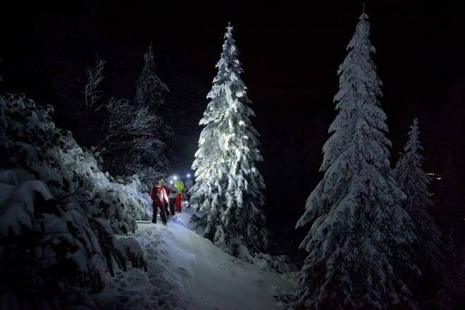 Night Snowshoeing Lapland Experience