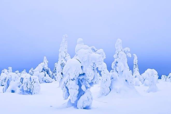 RIISITUNTURI NATIONAL PARK HIKE