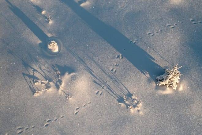 RIISITUNTURI NATIONAL PARK HIKE