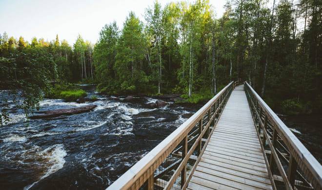 VAATTUKIKONGAS HIKE : the forest trail