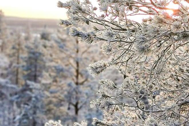 VIKAKONGAS HIKE Nature and Silence 