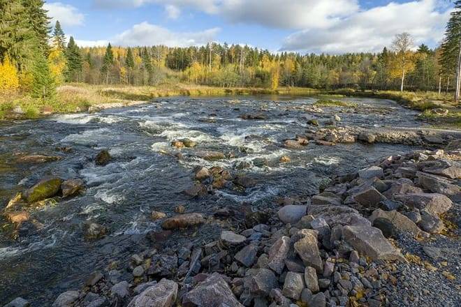 VIKAKONGAS HIKE Nature and Silence 