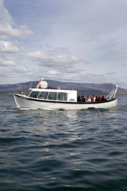 Horses & Puffins (Elfin Tour)