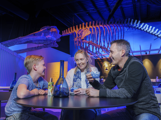 Whale Watching & Whales of Iceland Museum