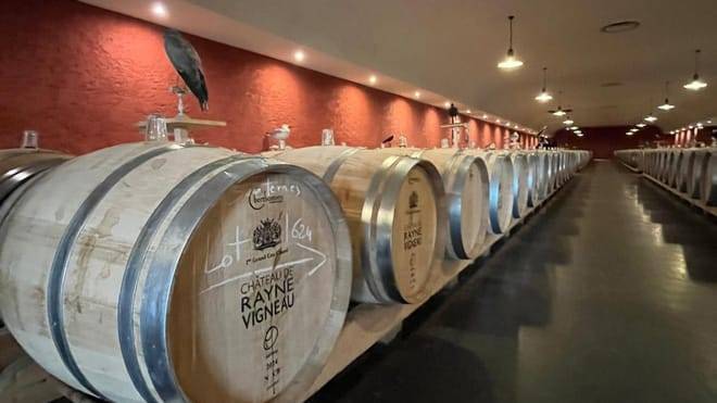 Graves & Sauternes : Private Full Day Tour in a Citroën 2cv