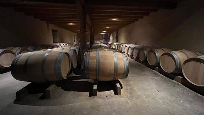 Graves & Sauternes : Private Full Day Tour in a Citroën 2cv