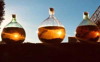 Cassis, Bandol and Le Castellet Wine tour 