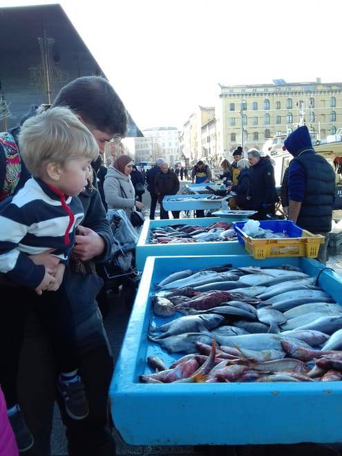 Food tour and Street art in the oldest district in Marseille: le Panier