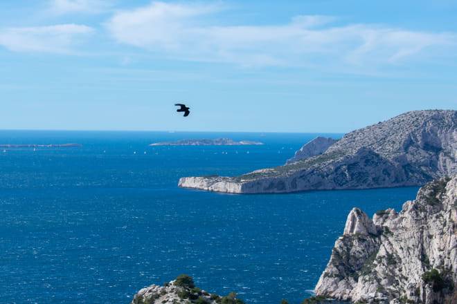 Hiking in the Calanques national park from Luminy 