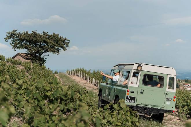 Private Full Day Beaujolais Wine Tour from Lyon