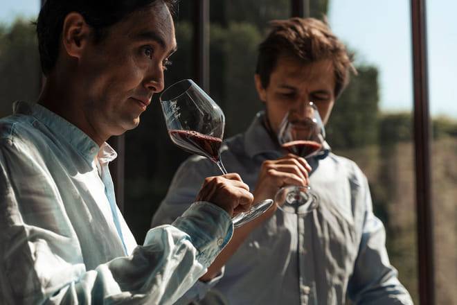 Private Full-Day Burgundy and Beaujolais Wine Tour from Lyon