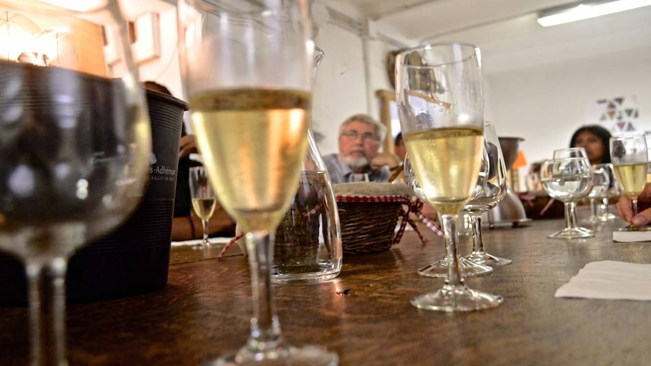 Organic Wine Tasting in Nice
