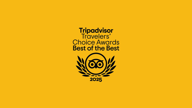 Naples Metro Tour: History, Art and Modernity - Metro Ticket 24h Included