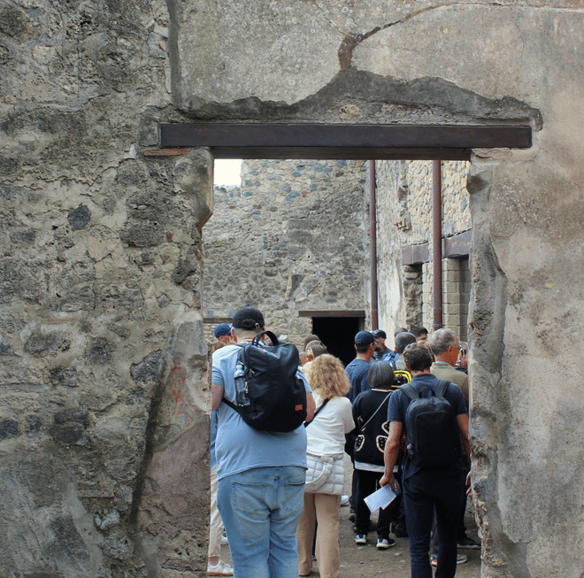 Pompeii and Vesuvius Private Tour with Guide, Transport Included