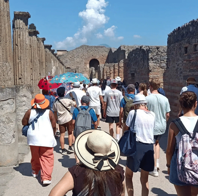 Pompeii and Vesuvius Private Tour with Guide, Transport Included