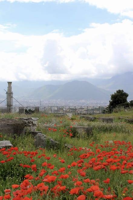 Private Tour of Pompeii and Sorrento from Naples with Driver
