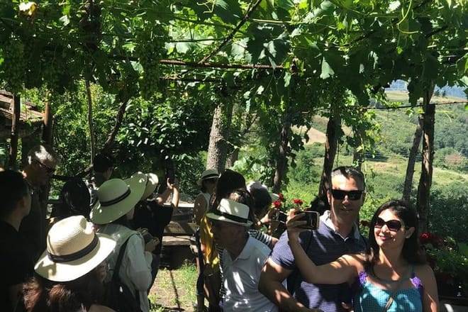 Dinner in the Vineyards