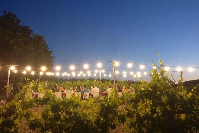 Dinner in the Vineyards