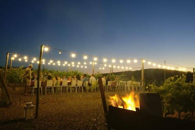 Dinner in the Vineyards from Florence