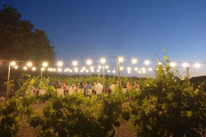 Dinner in the Vineyards from Florence