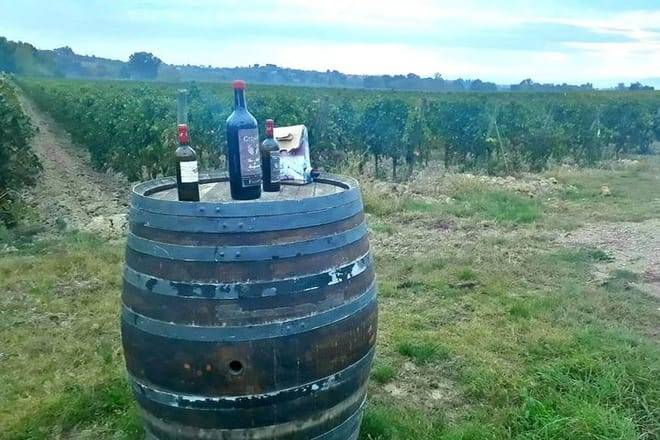 Tuscany Wine & Hills from Siena