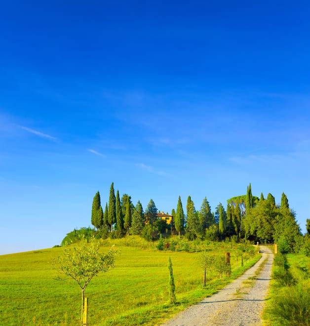 Cooking Class & Wine Tasting in a Chianti Farm