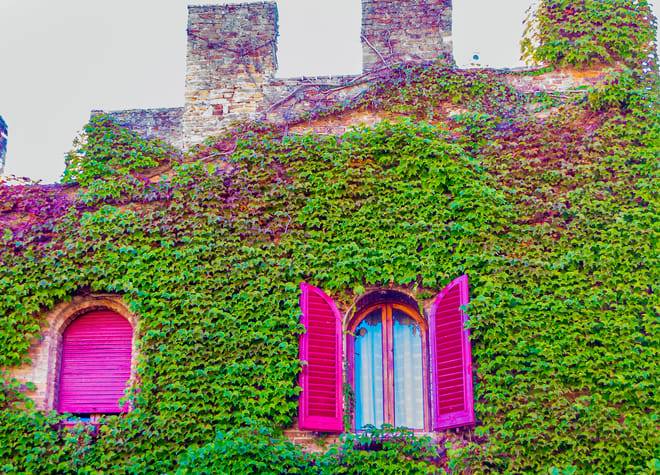 Tuscan Day Trip: Medieval Villages, Cooking Class & Wine Tasting