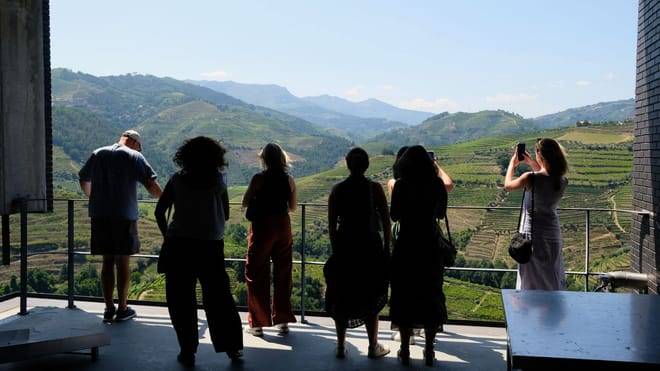 Douro Valley Small Group Tour with Wine Tastings, Lunch and River Cruise 