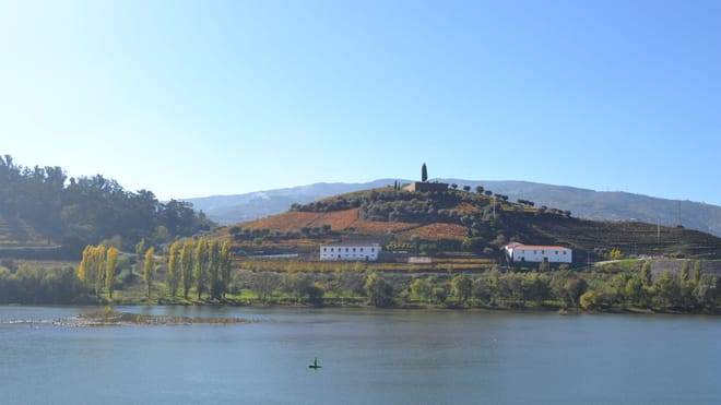 Douro Valley Small Group Tour with Wine Tastings, Lunch and River Cruise 