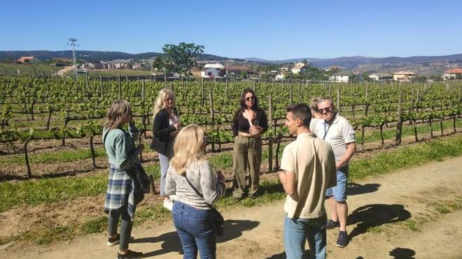 Douro Valley Small Group Tour with Wine Tastings, Lunch and River Cruise 