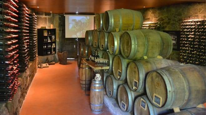 Three-Winery Douro Valley Experience for Wine Lovers
