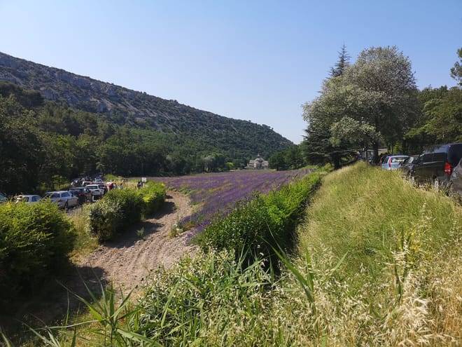 Marseille Shore Excursion: Private Day Trip to Luberon Villages