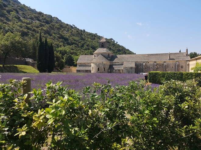 Marseille Shore Excursion: Private Day Trip to Luberon Villages