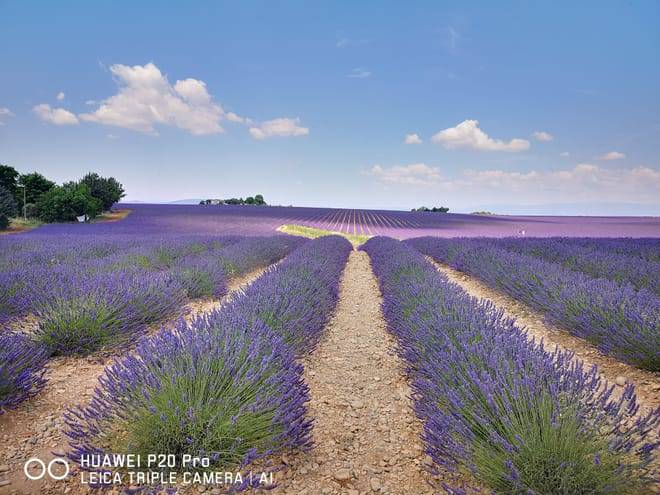 Marseille Shore Excursion: Private Day Trip to Manosque, Valensole, Moustiers Ste Marie and Lake Ste Croix