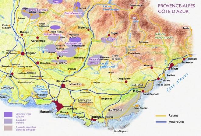 Marseille Half day City tour