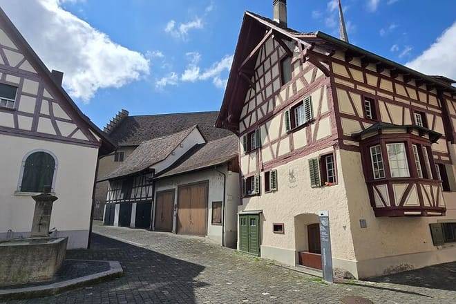 Stein am Rhein and Rhine Waterfalls Day Trip from Zürich
