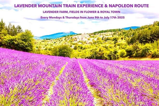 Tour with the Mountain Train, Trek to Mystic Forest and Castle 